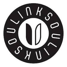 linksoul_logo_1200x1200